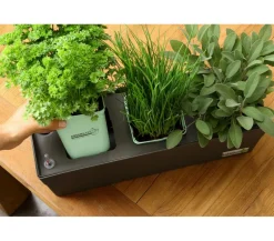 GREENBAR® Ersatzvlies, 3er-Set
