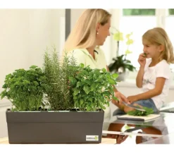 GREENBAR® Liebstock