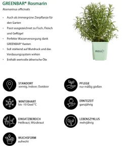 GREENBAR® Rosmarin, stehend