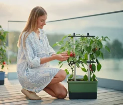 Gusta Garden Chili-Pflanztopf Charly Chili, ca. B35/H69/T28 cm