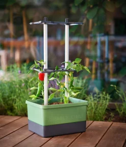 Gusta Garden Chili-Pflanztopf Charly Chili, ca. B35/H69/T28 cm