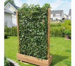 Hecke am laufenden Meter® 'Woerneri' - Efeu, ca. 100 cm