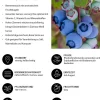 Heidelbeer-Set Blaubeer-Genuss, 3-teilig