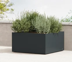 Herstera Metall-Pflanzkasten Cube Low LED, quadratisch, anthrazit, ca. B100/H50/T100 cm