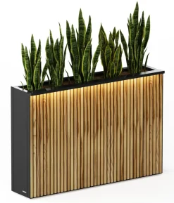 Herstera Metall-Raumtrenner Deco Planter LED, rechteckig, schwarz/natur