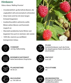Himbeer-Set Himbeerfreude, 3-teilig