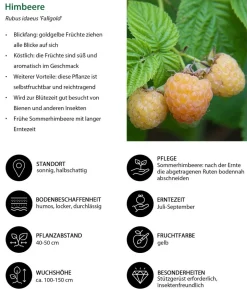 Himbeer-Set Himbeerfreude, 3-teilig