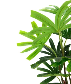 I.GE.A. Kunstpflanze Palme Rhapis im Topf, ca. H88 cm