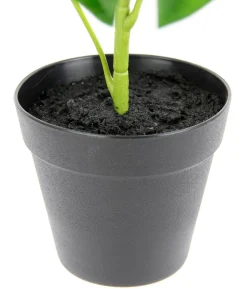 I.GE.A Kunstpflanze Schefflera im Wasserhyazinthentopf, ca. H48 cm