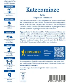 Katzenminze Felix, Saatgut von Kiepenkerl