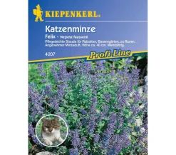 Katzenminze Felix, Saatgut von Kiepenkerl