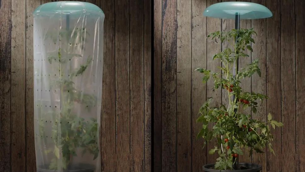 KHW Tomatenhut