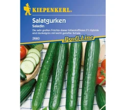 Kiepenkerl Saatgut Salatgurke 'Saladin'