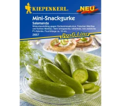 Kiepenkerl Samen Salatgurke 'Salamanda'