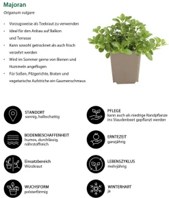 Kräuter-Set Feinschmecker, 6-teilig