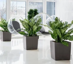 LECHUZA® CUBE, All-in-One Set
