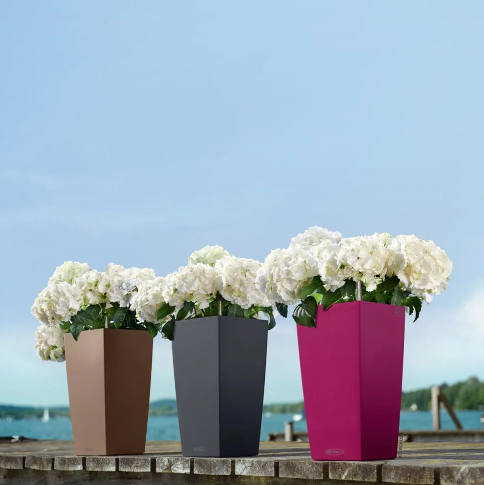 LECHUZA® CUBICO Color, All-in-One-Set