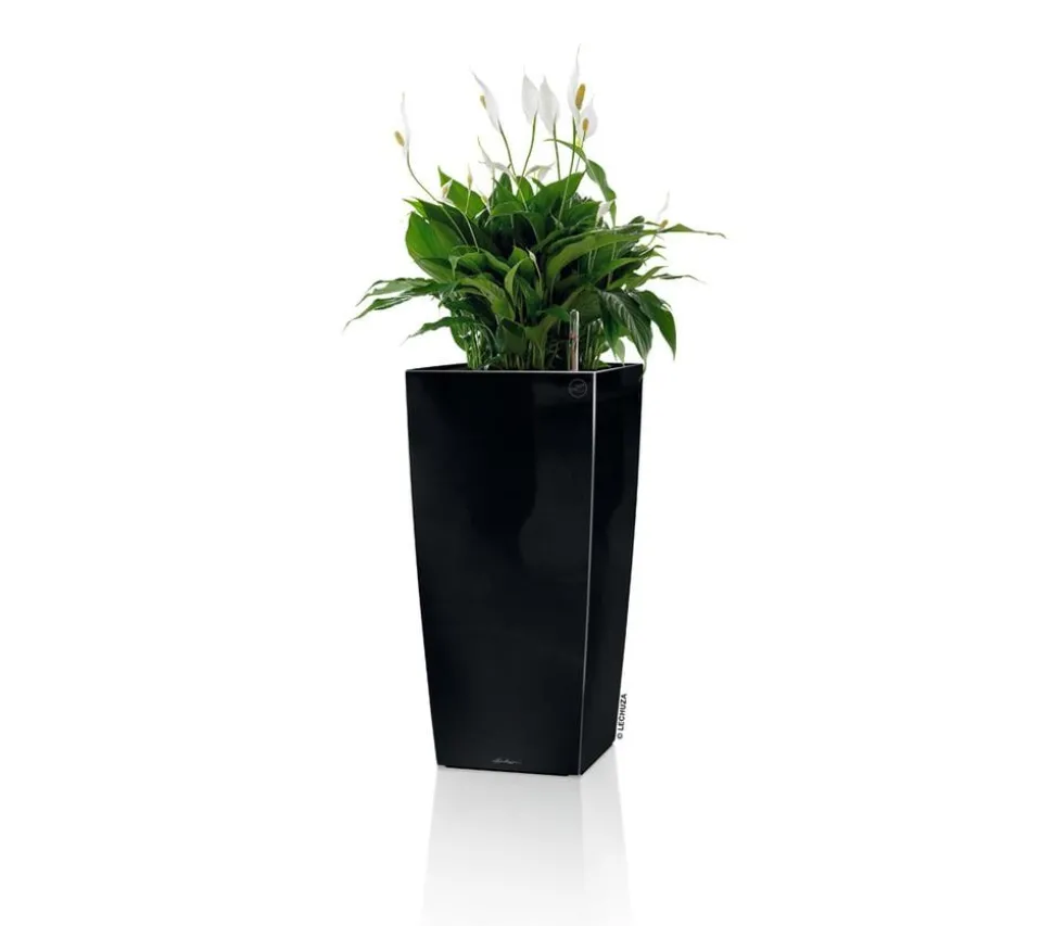 LECHUZA® CUBICO Premium, All-in-One-Set