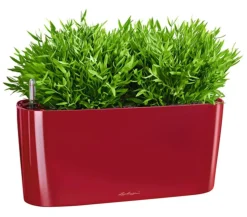 LECHUZA® DELTA, All-in-One-Set, hochglanz