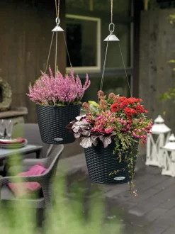 LECHUZA® Kunststoff-Hängeampel Nido Cottage
