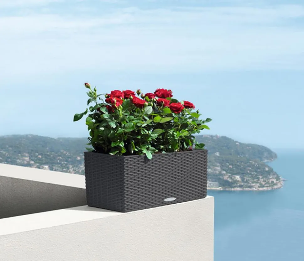 LECHUZA® Kunststoff-Kasten Balconera Cottage, rechteckig