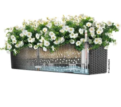LECHUZA® Kunststoff-Kasten Balconera Cottage, rechteckig