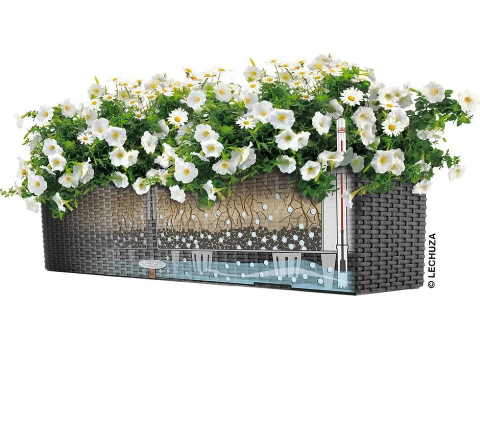 LECHUZA® Kunststoff-Kasten Balconera Cottage, rechteckig