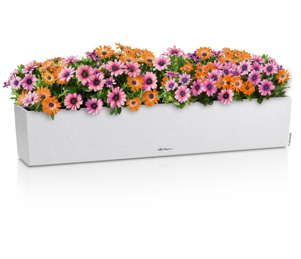 LECHUZA® Kunststoff-Kasten Balconera Stone, rechteckig