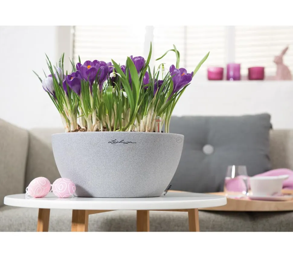 LECHUZA® Kunststoff-Schale 'Cubeto Stone', rund