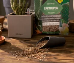 LECHUZA® CACTUSPON Pflanzsubstrat