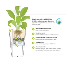 LECHUZA® CLASSICO LS, All-in-One-Set