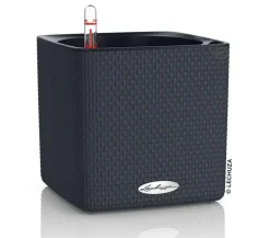 LECHUZA® CUBE Color, All-in-One Set