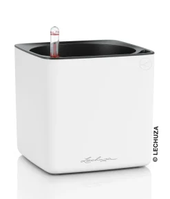 LECHUZA® CUBE Premium, All-in-One Set, matt