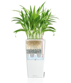 LECHUZA® CUBICO Premium, All-in-One-Set