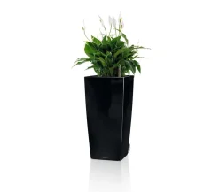 LECHUZA® CUBICO Premium, All-in-One-Set