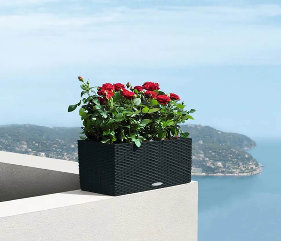 LECHUZA® Kunststoff-Kasten Balconera Cottage, rechteckig