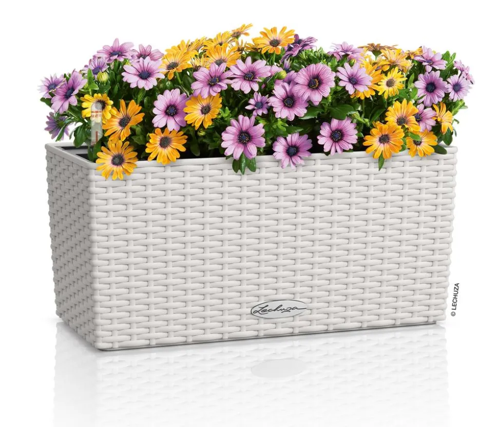 LECHUZA® Kunststoff-Kasten Balconera Cottage, rechteckig