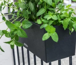 LECHUZA® Kunststoff-Kasten Balconera Stone, rechteckig