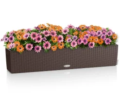 LECHUZA® Kunststoff-Kasten Balconera Cottage, rechteckig
