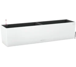 LECHUZA® Kunststoff-Kasten Balconera Color, rechteckig
