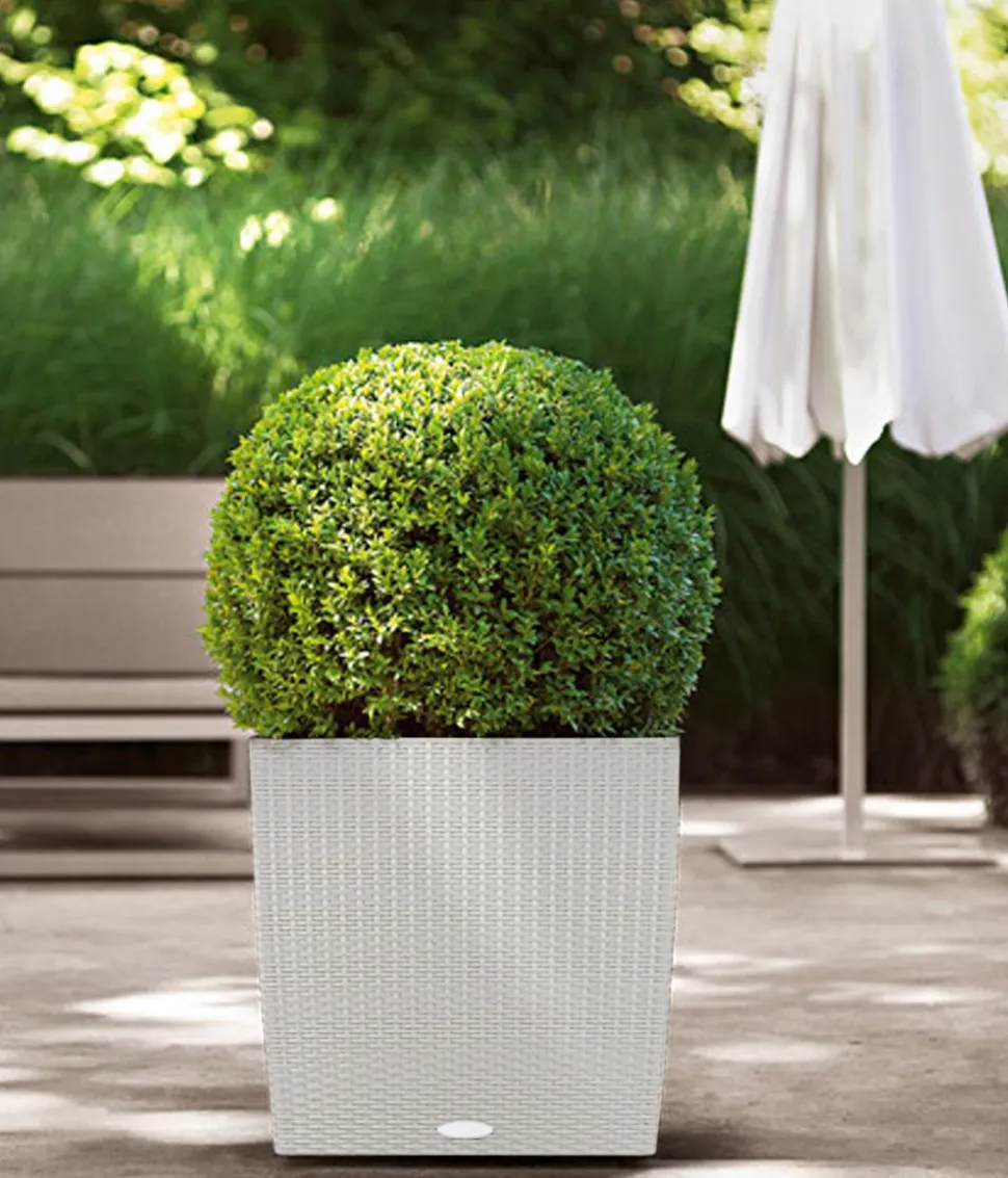 LECHUZA® Kunststoff-Topf Cube Cottage, quadratisch