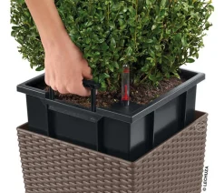 LECHUZA® Kunststoff-Topf Cube Cottage, quadratisch