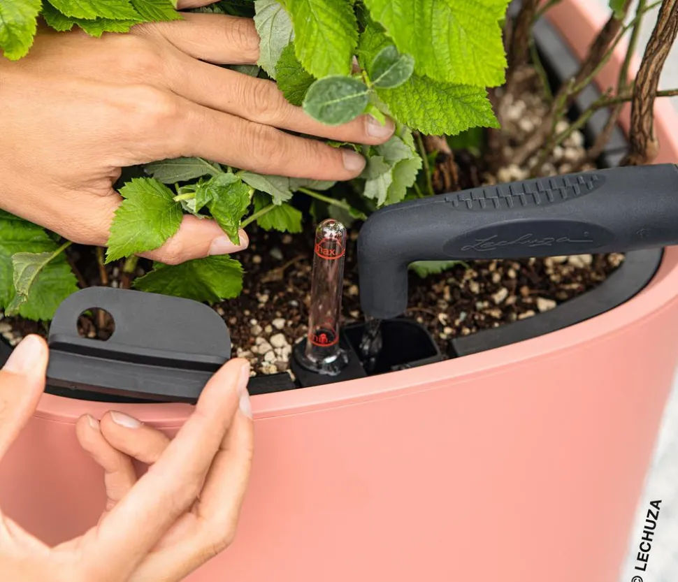 LECHUZA® Kunststoff-Topf PILA Color Planter, quadratisch, ca. B35/H33/T35 cm