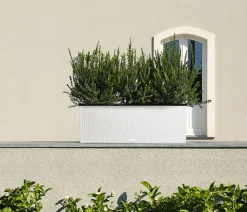 LECHUZA® Polyrattan-Kasten Trio Cottage, rechteckig