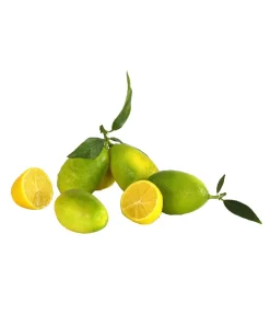 Limette 'Limequat'