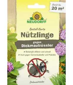 Neudorff Bestell-Karte Nützlinge gegen Dickmaulrüssler, für 20 qm, 1 Stk.