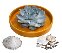Pflanzen-Arrangement Ibiza, ca. Ø19/H8 cm