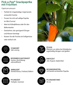 Pick-a-Pep® Snackpaprika mit Früchten