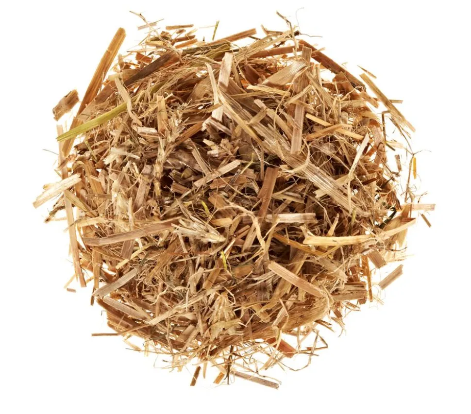 Pilzmännchen Bio Pilzzuchtset Austernpilz