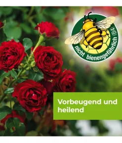 PROTECT GARDEN Curamat AZ Rosen-Pilzfrei, flüssig, 2 x 4 ml